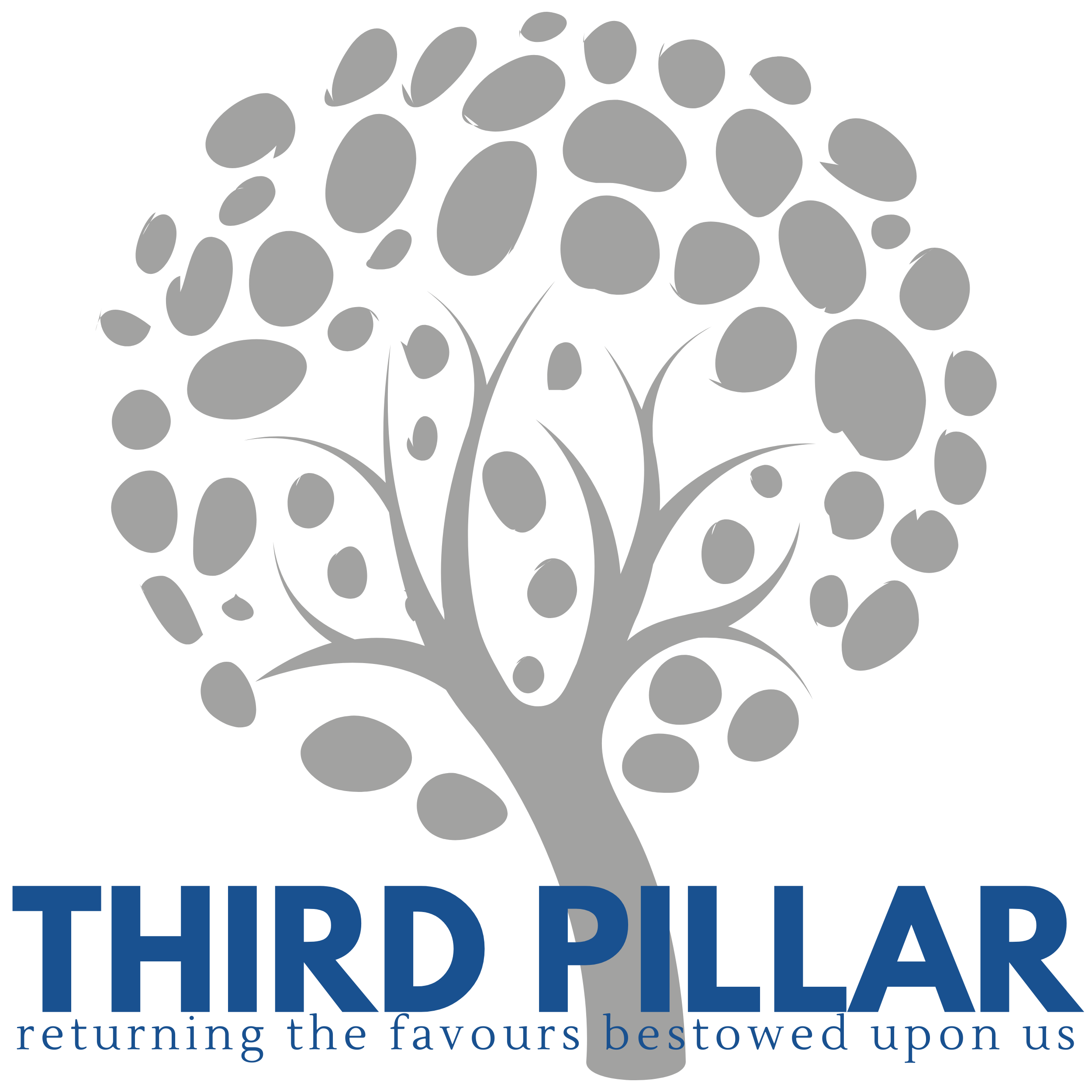 Third Pillar  - 100% Donation Policy
